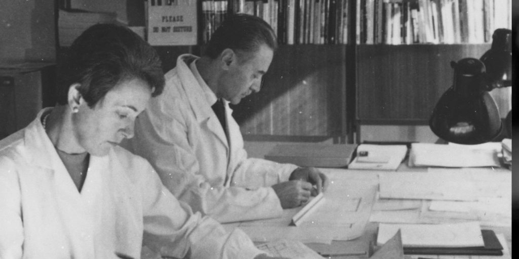 — Franco Albini e Franca Helg