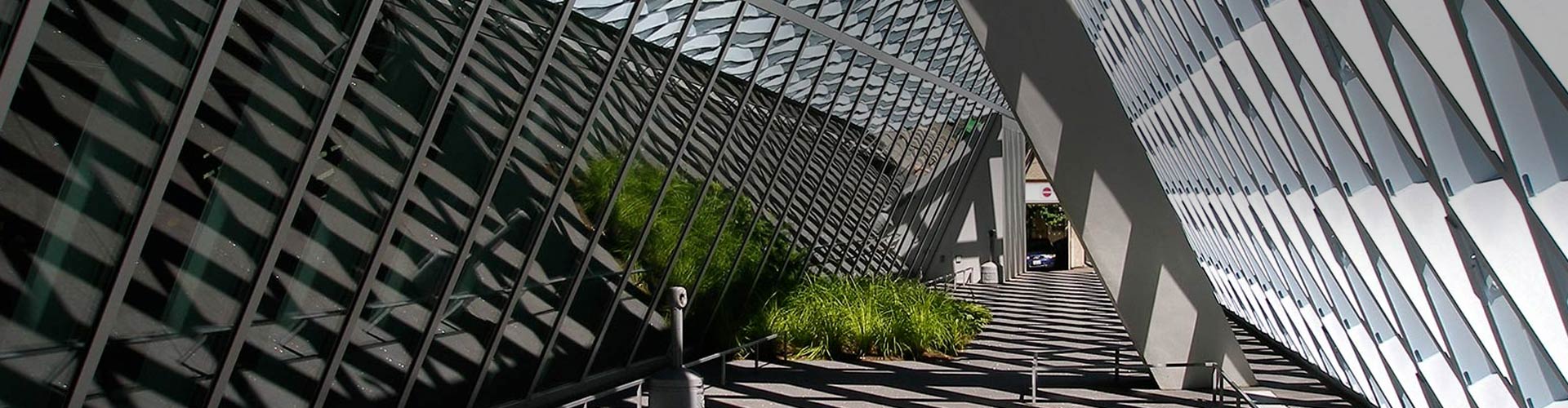 rem-koolhaas-cover