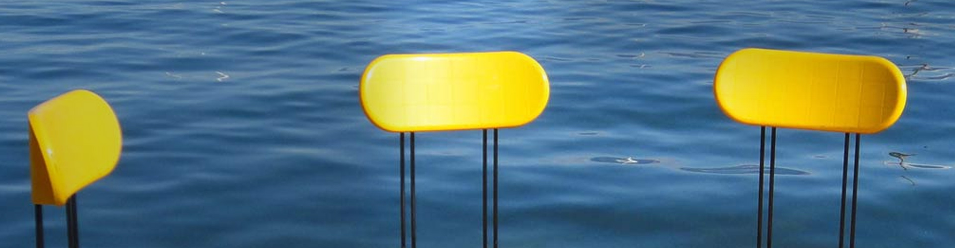 van-onck-takeda-cover